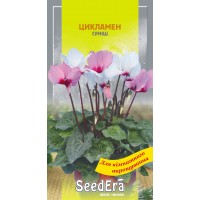 Семена Цикламен персидская смесь 5шт.